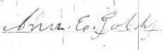AnnEGoldy1.JPG (5241 bytes)