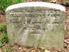 AnnGoldy2.jpg (1781860 bytes)