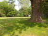 FriendsBuryingGround.jpg (1309184 bytes)