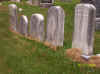 GaskillClevenger.jpg (876649 bytes)
