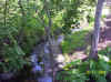 GoldysRun5a.jpg (1444989 bytes)