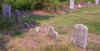Hargrove.jpg (1364857 bytes)