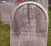 MercyGoldyMarble.jpg (1231651 bytes)