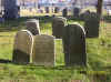 RebeccaOfIPGoldy1.jpg (1089861 bytes)