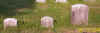 Rena&2Goldy.jpg (367031 bytes)