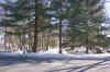 SWGoldyVTownProperty.jpg (223087 bytes)