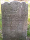 SallyHargrove.jpg (1330519 bytes)