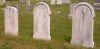 Sooy1.jpg (1153910 bytes)