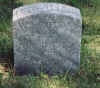 WmGoldy.JPG (37084 bytes)