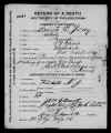 Sarah_E_Montgomery_Goldy.jpg (87566 bytes)