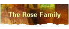 The Rose Family